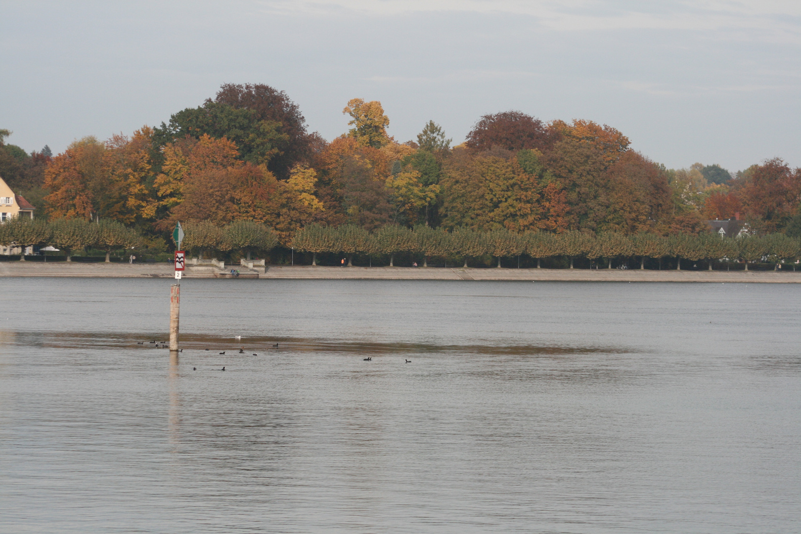 Herbst am Bodensee