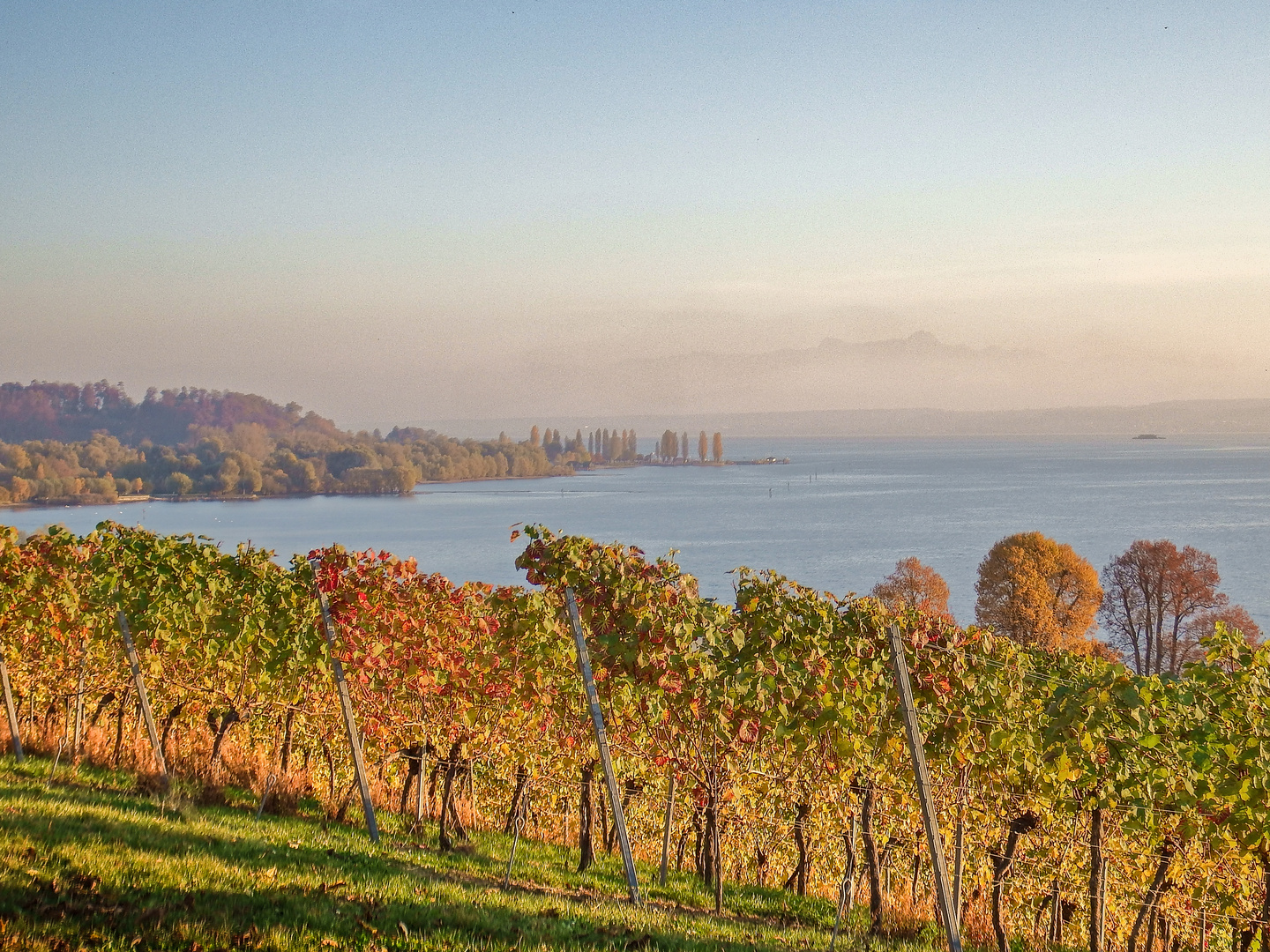 Herbst am Bodensee