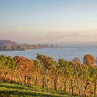 Herbst am Bodensee