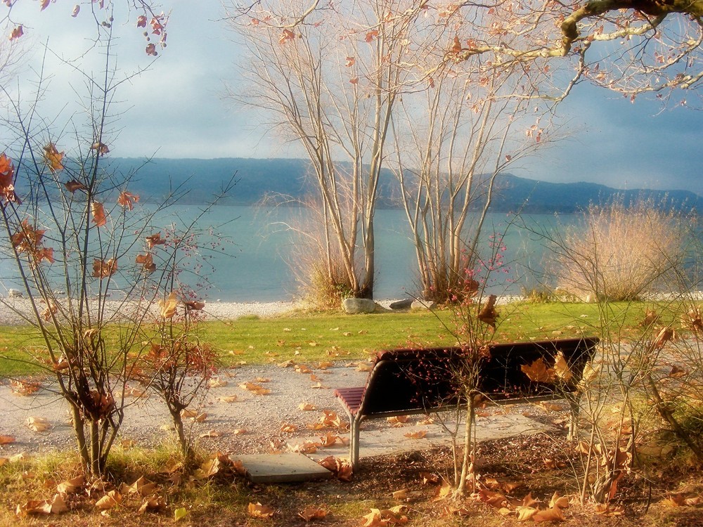 Herbst am Bodensee