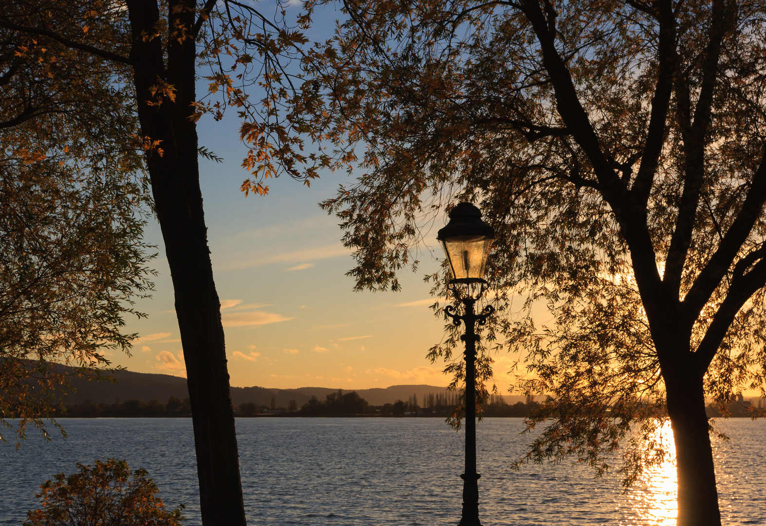 Herbst am Bodensee