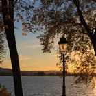 Herbst am Bodensee