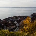 Herbst am Bodensee