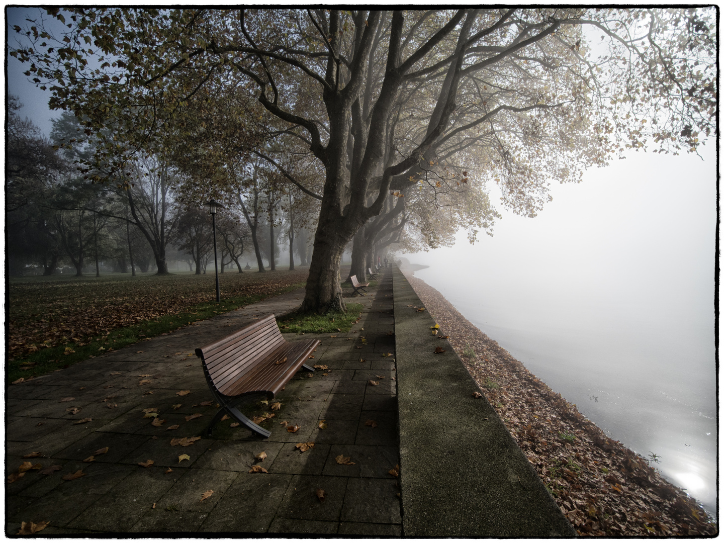 Herbst am Bodensee