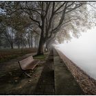 Herbst am Bodensee