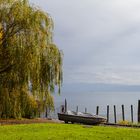 Herbst am Bodensee