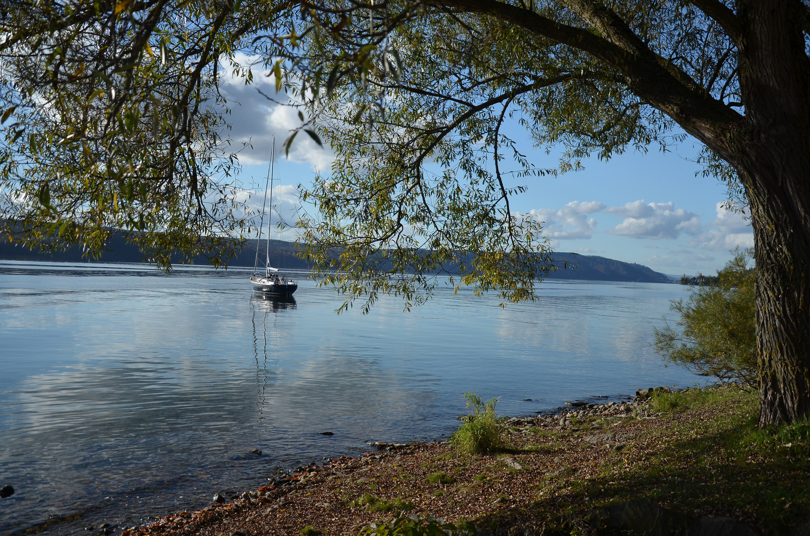 Herbst am Bodensee bei Überlingen