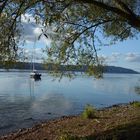 Herbst am Bodensee bei Überlingen