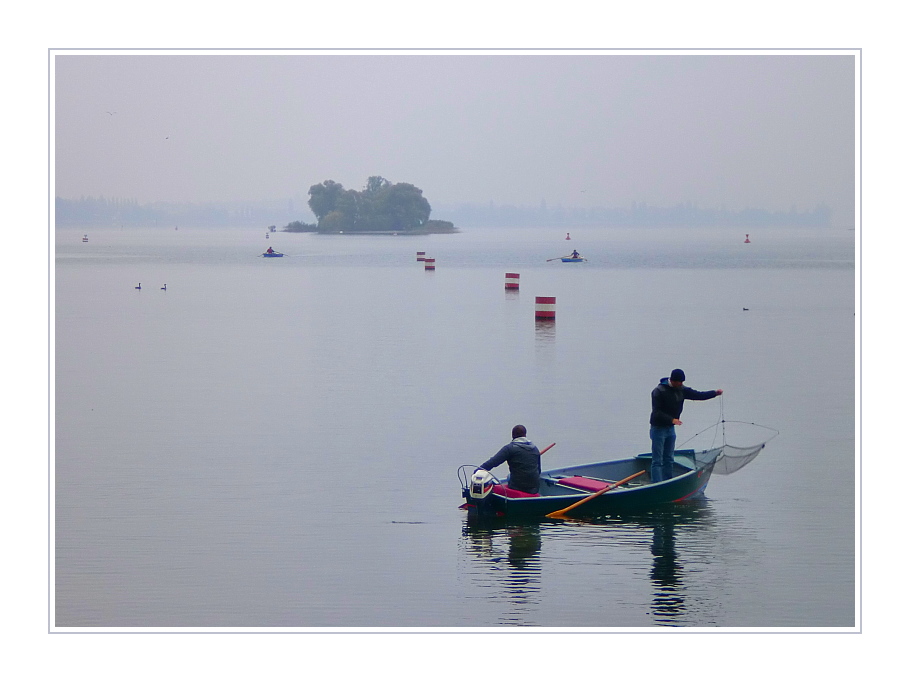 Herbst am Bodensee