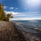 Herbst am Bodensee