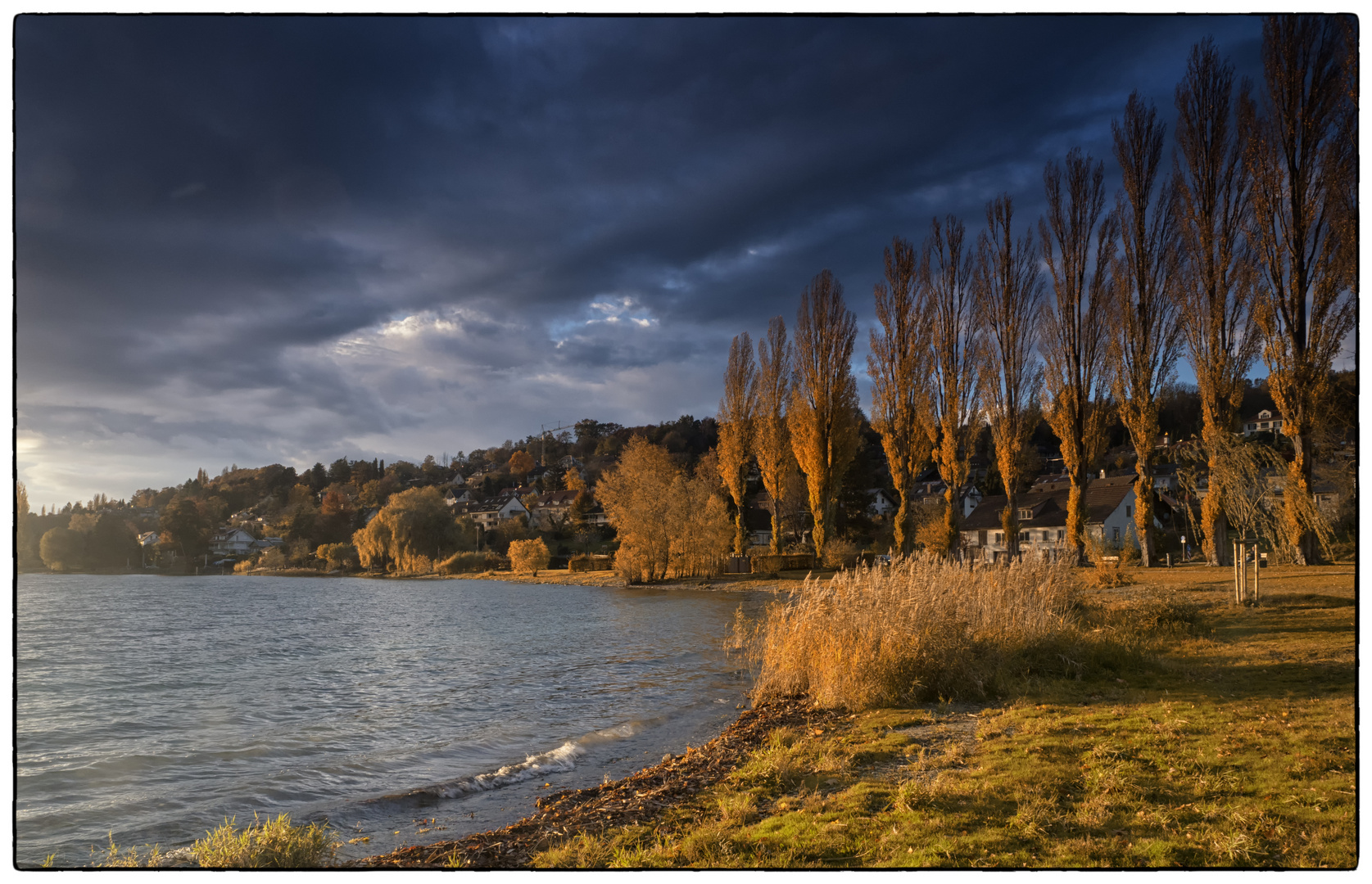 Herbst am Bodensee