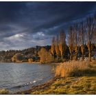 Herbst am Bodensee