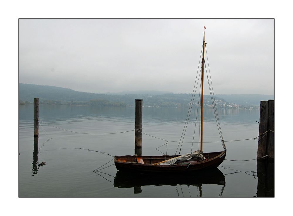 Herbst am Bodensee Nr. 2