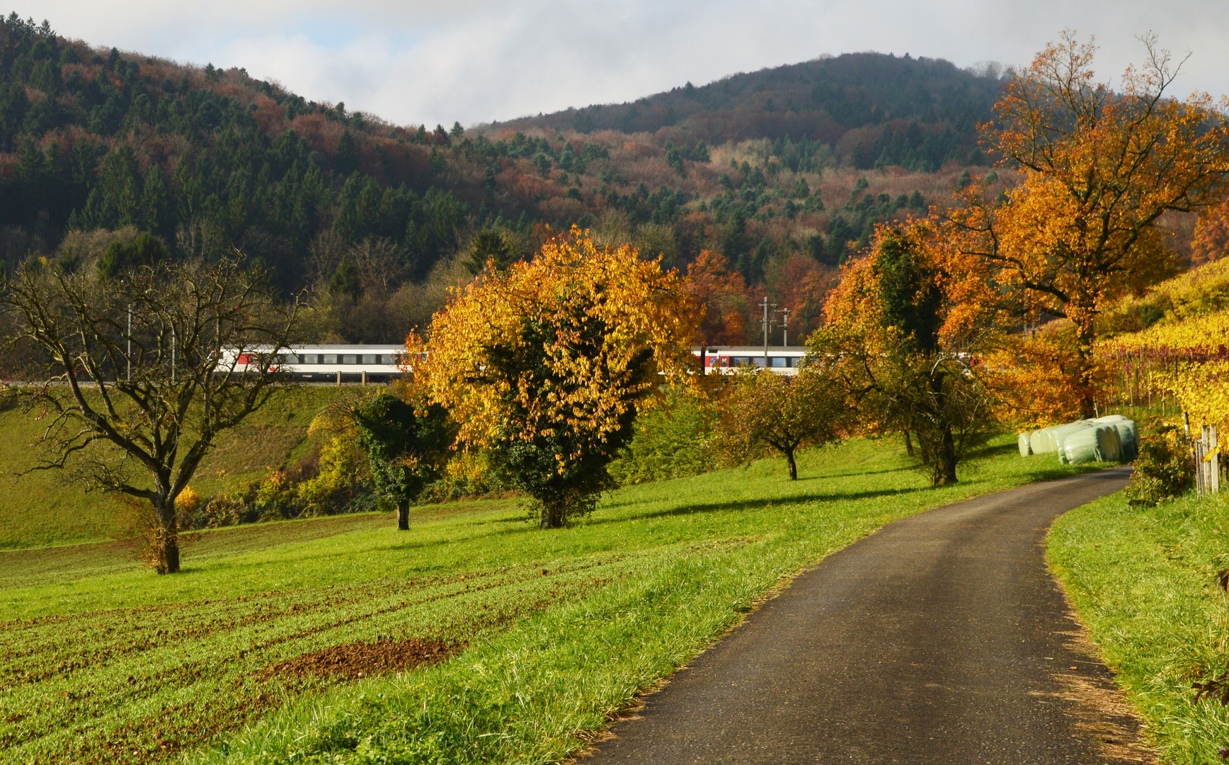 Herbst am Bözberg