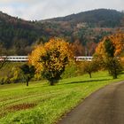 Herbst am Bözberg