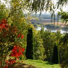 Herbst am Bogenberg