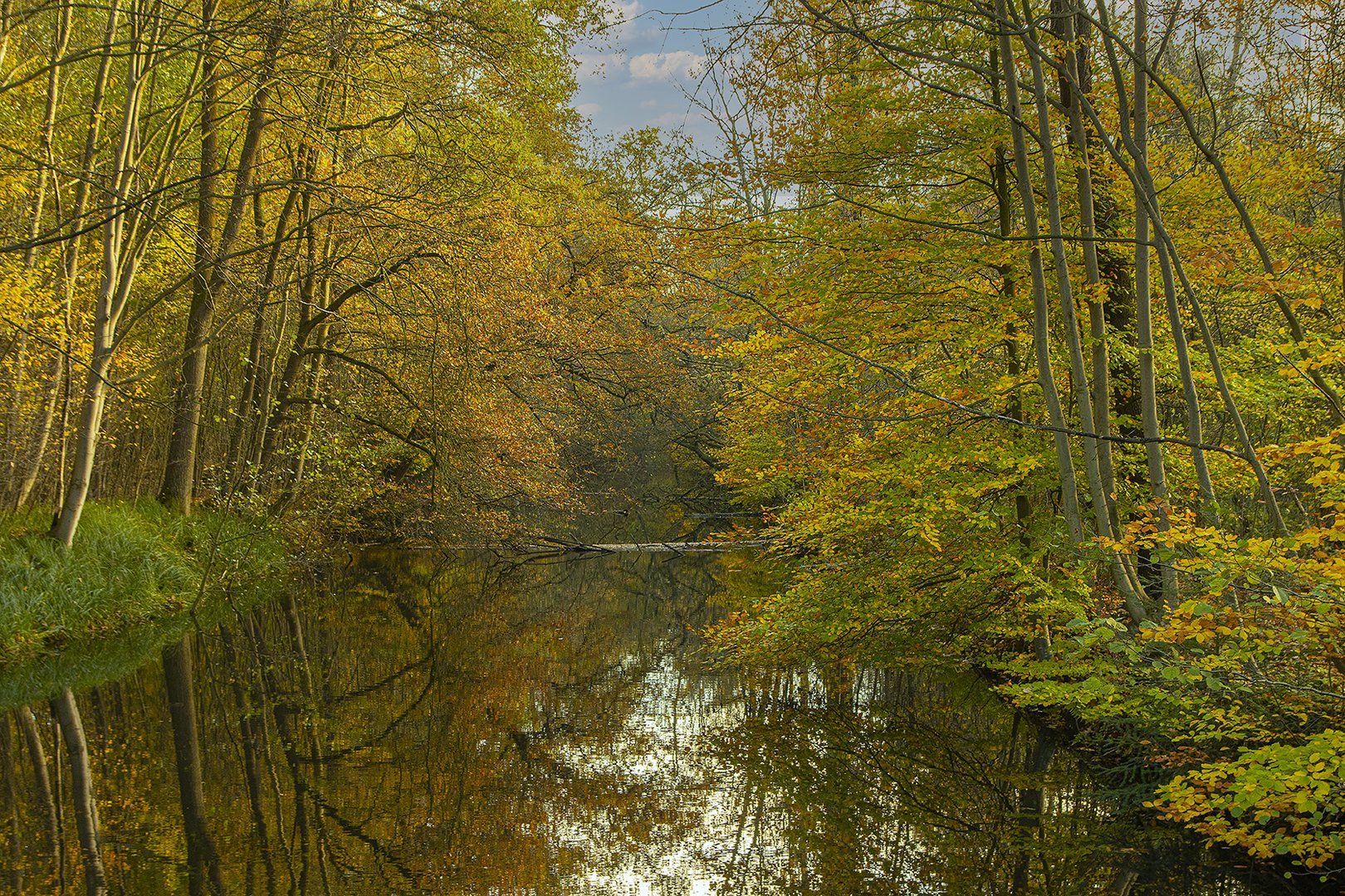 Herbst am Boker Kanal_MG_0277b