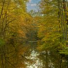 Herbst am Boker Kanal_MG_0277b