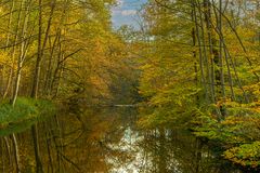 Herbst am Boker Kanal_MG_0277b