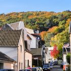 Herbst am Bonner Venusberg