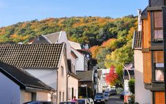 Herbst am Bonner Venusberg