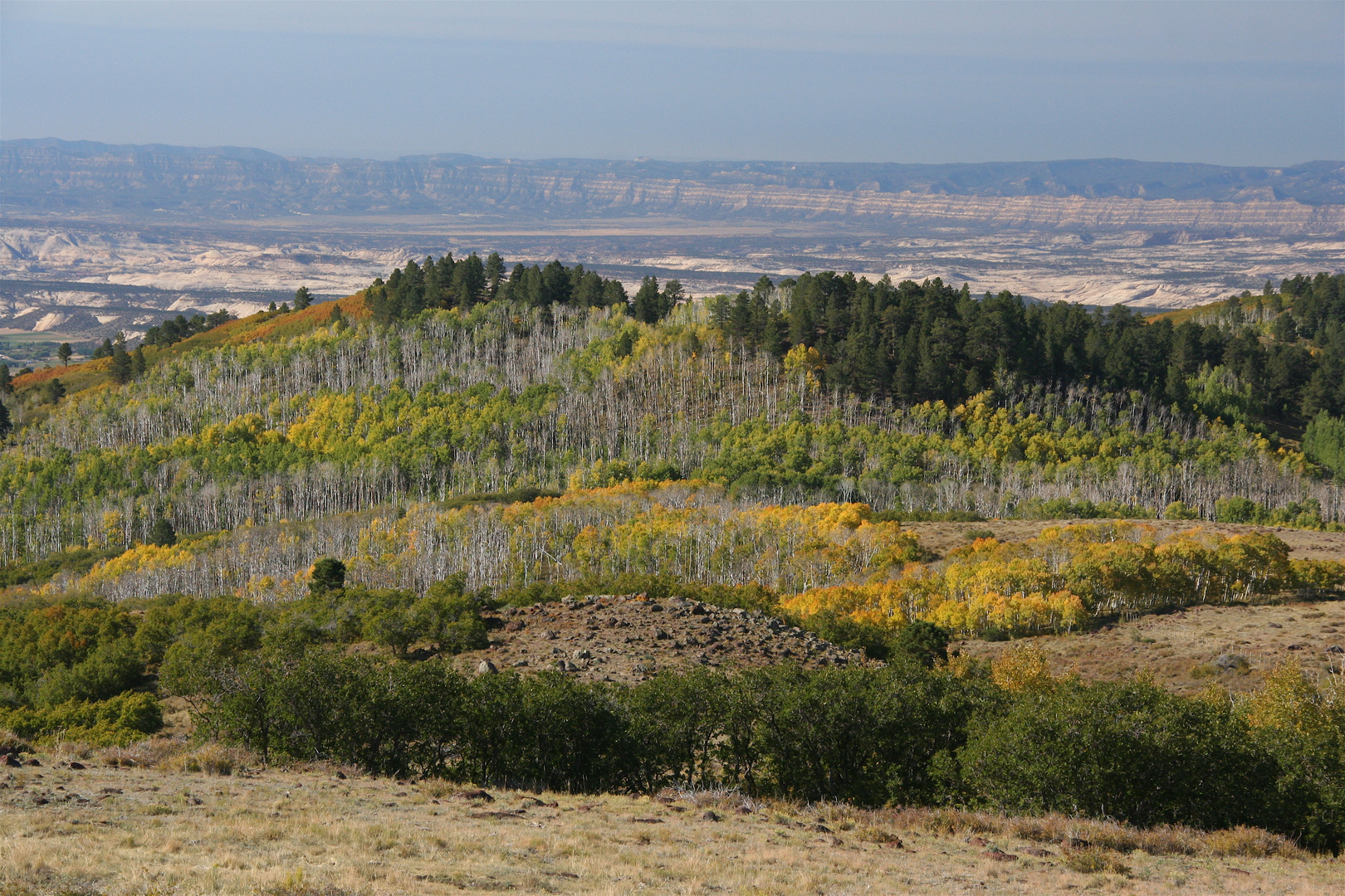 Herbst am Boulder Mountain