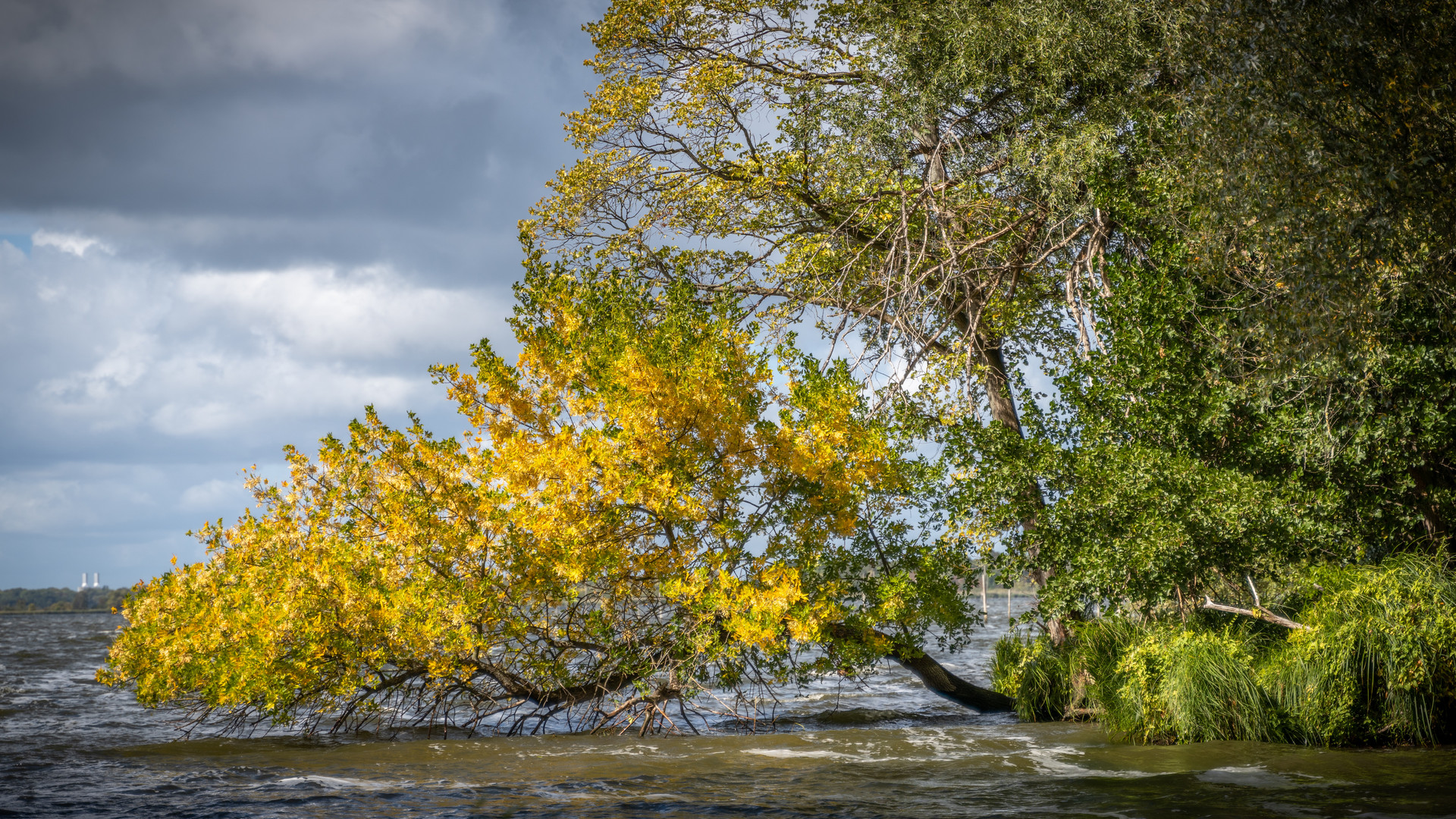 Herbst am Breitlingsee