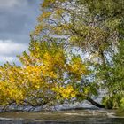 Herbst am Breitlingsee