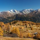 Herbst am Brenner