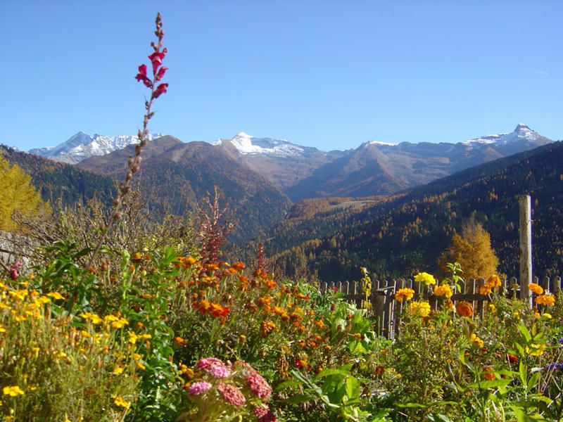 Herbst am Brenner