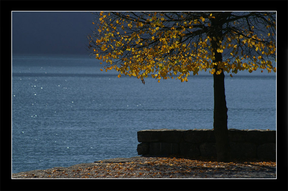 Herbst am Brienzersee