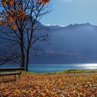 Herbst am Brienzersee