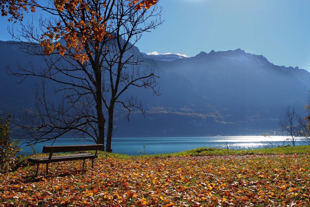 Herbst am Brienzersee