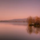 Herbst am Brombachsee