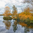 Herbst am Bugasee