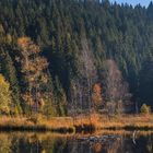 Herbst am Buhlbachsee