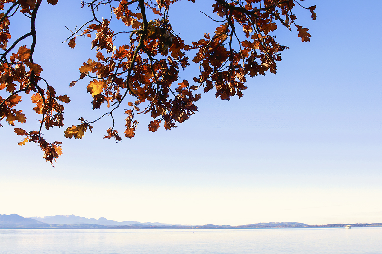 Herbst am Chiemsee