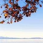 Herbst am Chiemsee