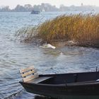 Herbst am Chiemsee