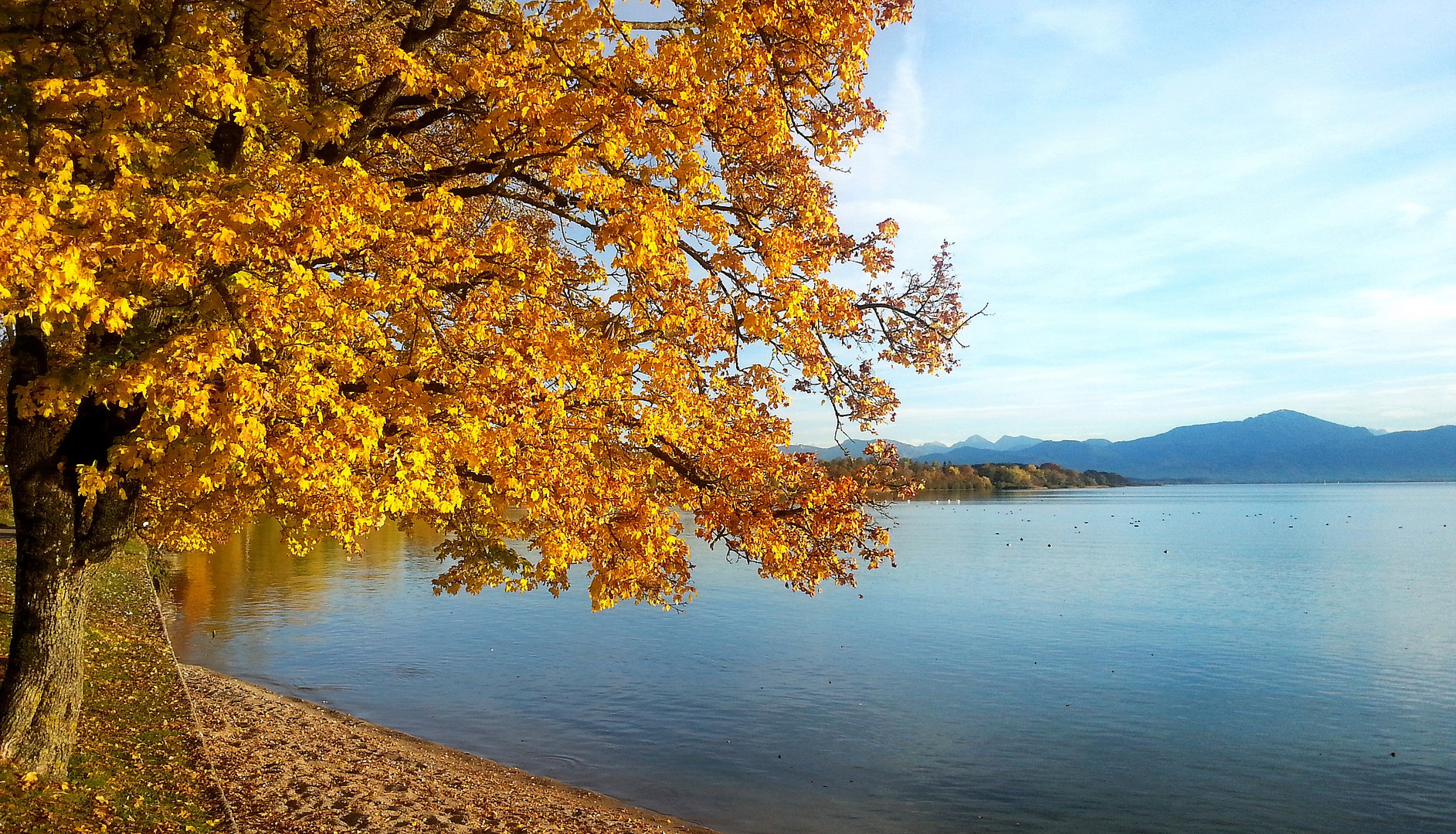 Herbst am Chiemsee