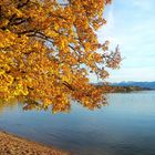 Herbst am Chiemsee