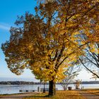 Herbst am Chiemsee