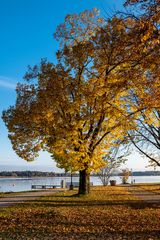 Herbst am Chiemsee