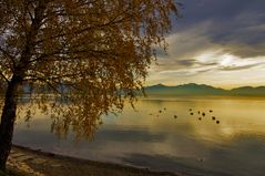 Herbst am Chiemsee