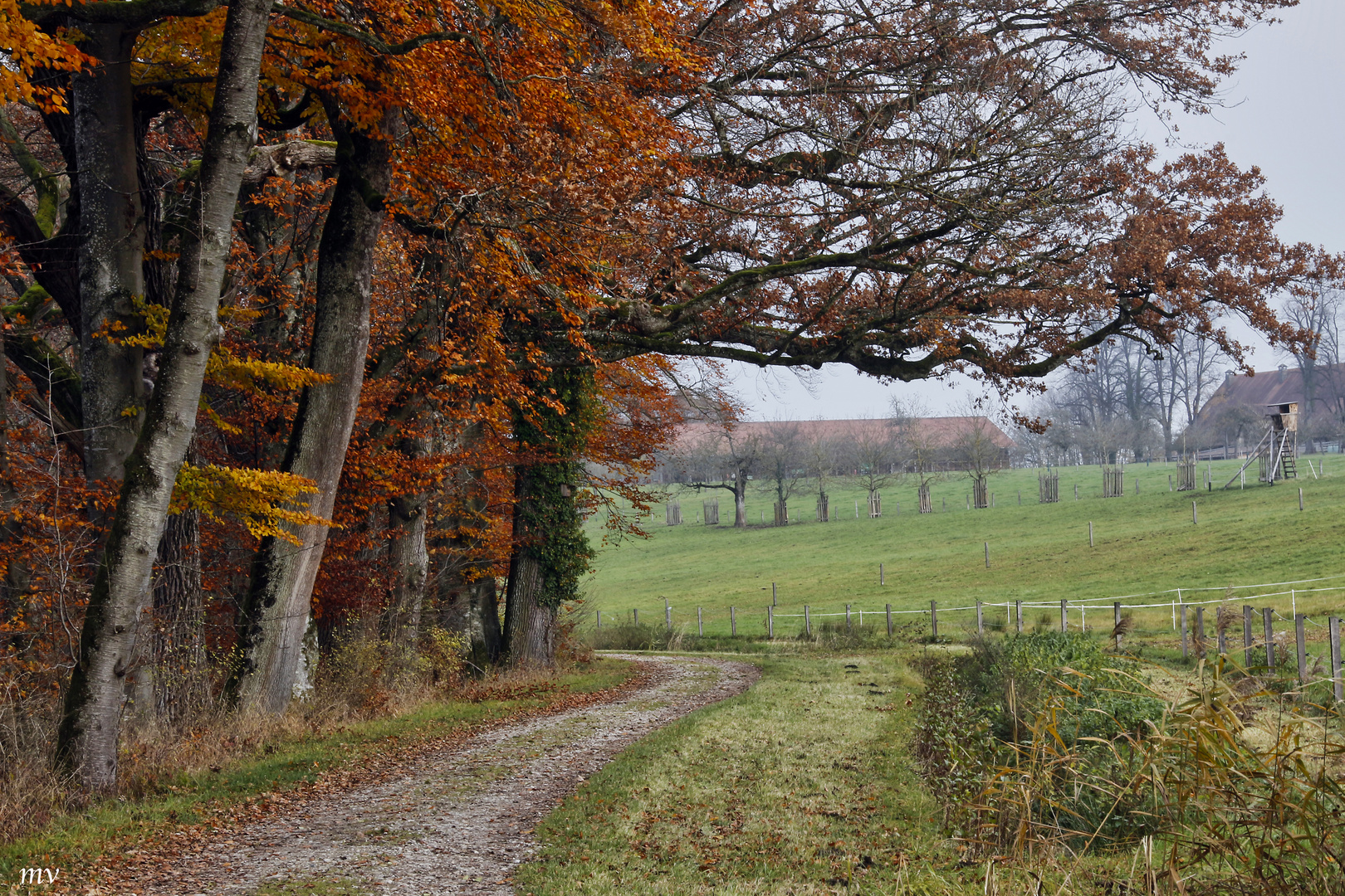 Herbst am Chiemsee