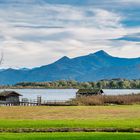 Herbst am Chiemsee/Bayern