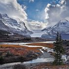 Herbst am Columbia Icefield