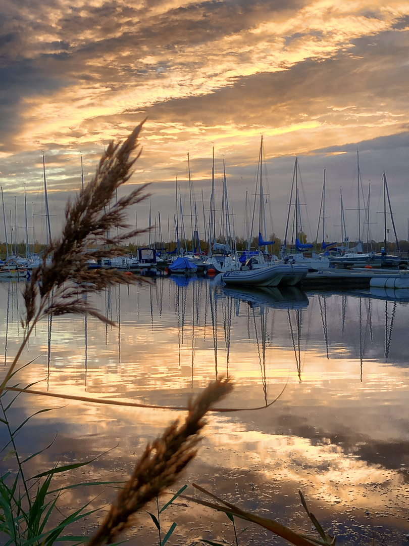 Herbst am Cospudener See 