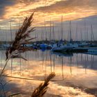 Herbst am Cospudener See 