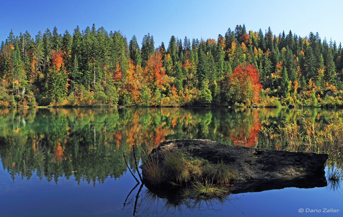 Herbst am Crestasee